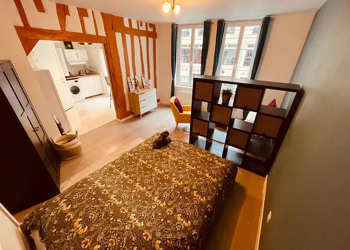 Apartamento Mon Petit Havre De Paix - 359 *